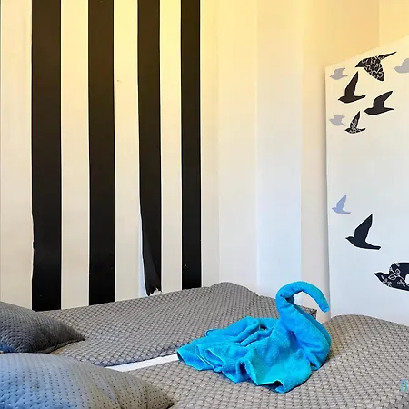 בית אירוח Swan *