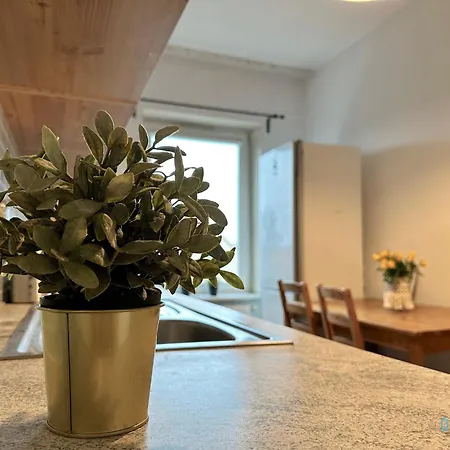 Swan Проживание в семье *